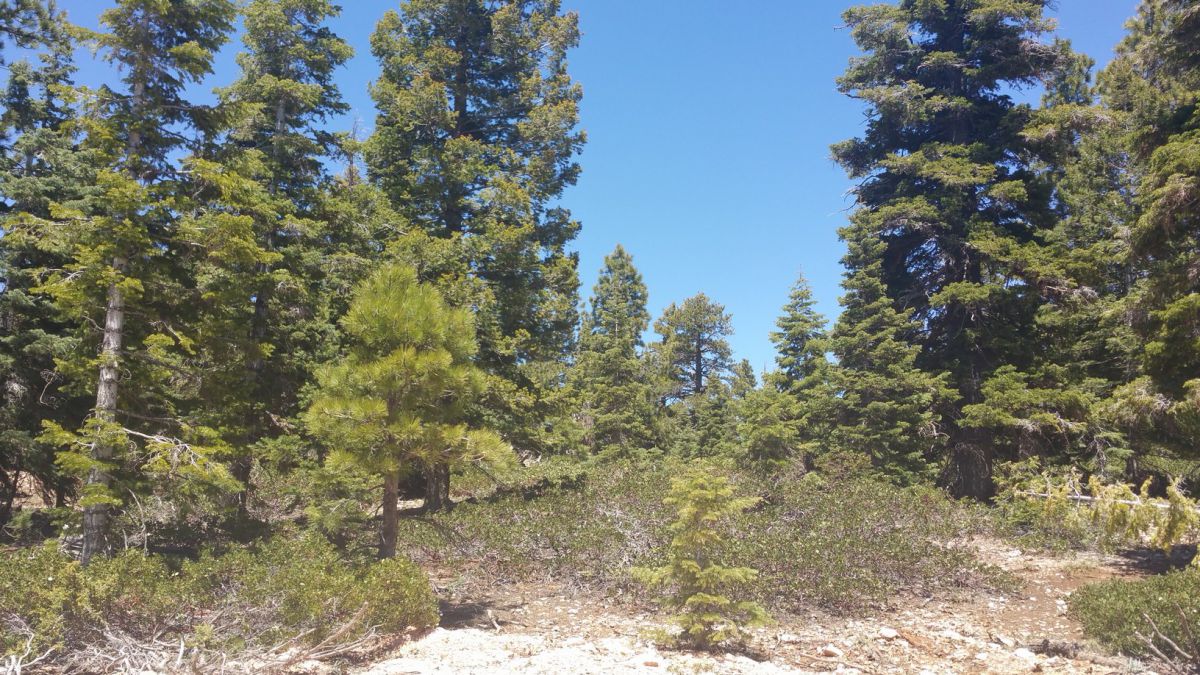 1020 & 1030 W Cascade Dr., ZVME D-55 & 56, Duck Creek Village, UT 84762