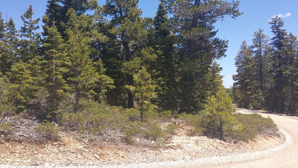 1020 & 1030 W Cascade Dr., ZVME D-55 & 56, Duck Creek Village, UT 84762