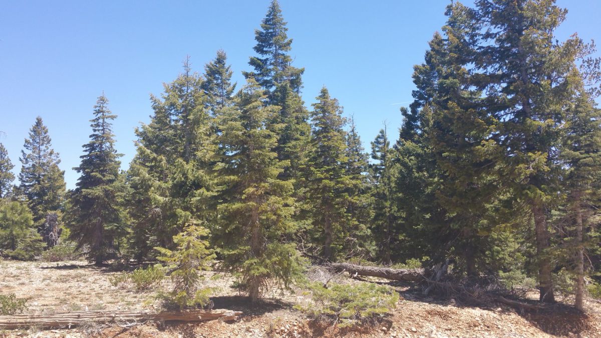 1020 & 1030 W Cascade Dr., ZVME D-55 & 56, Duck Creek Village, UT 84762