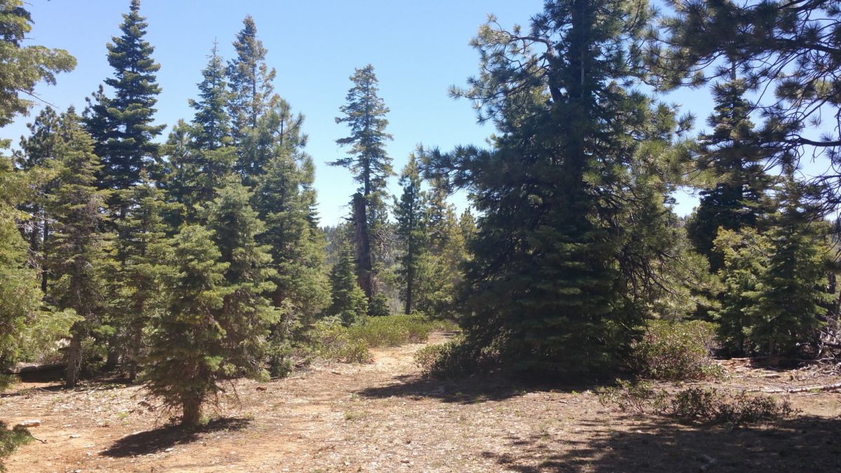1020 & 1030 W Cascade Dr., ZVME D-55 & 56, Duck Creek Village, UT 84762
