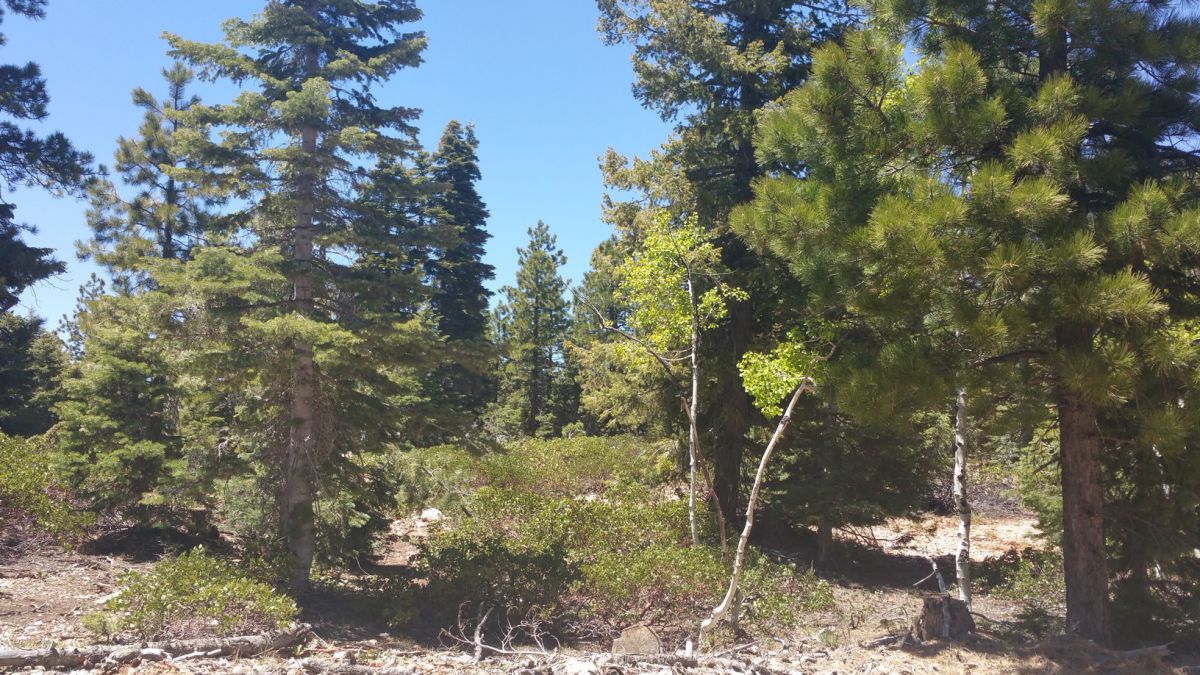 1020 & 1030 W Cascade Dr., ZVME D-55 & 56, Duck Creek Village, UT 84762