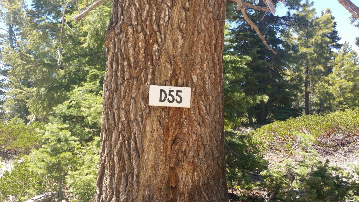 1020 & 1030 W Cascade Dr., ZVME D-55 & 56, Duck Creek Village, UT 84762