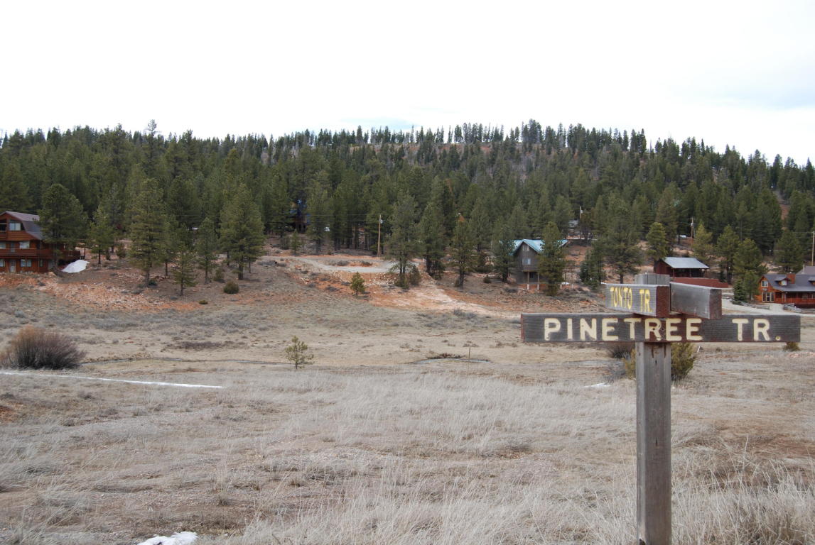 255 N Pine Tree Trail, Duck Creek, UT 84762