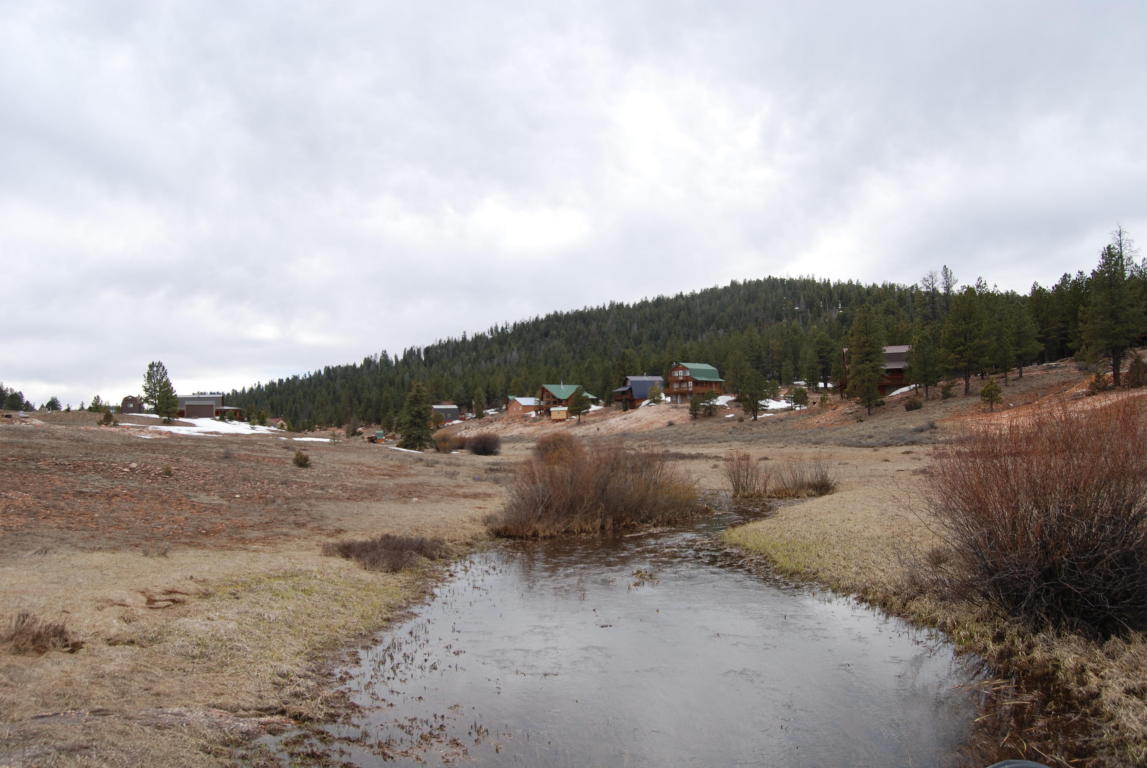 255 N Pine Tree Trail, Duck Creek, UT 84762