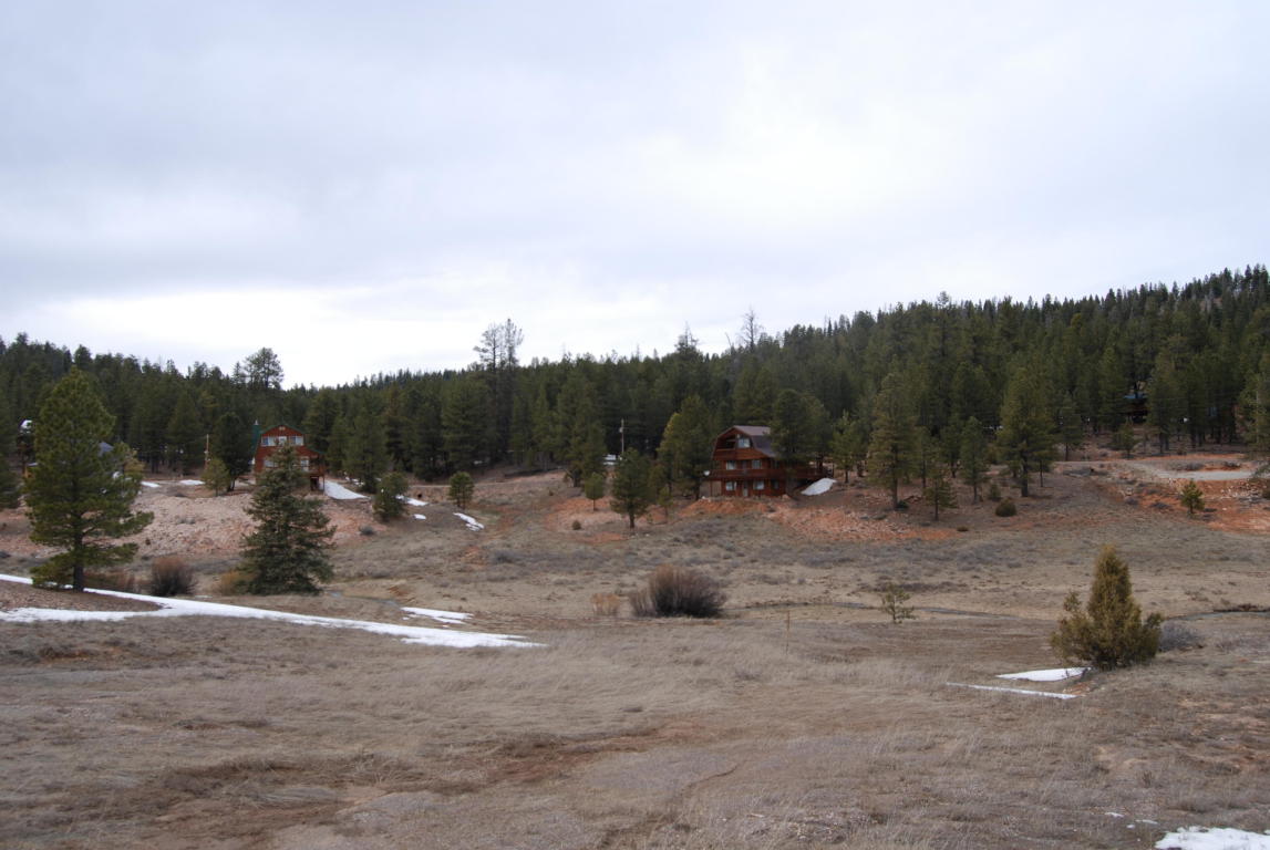255 N Pine Tree Trail, Duck Creek, UT 84762