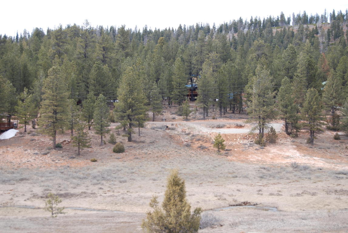 255 N Pine Tree Trail, Duck Creek, UT 84762