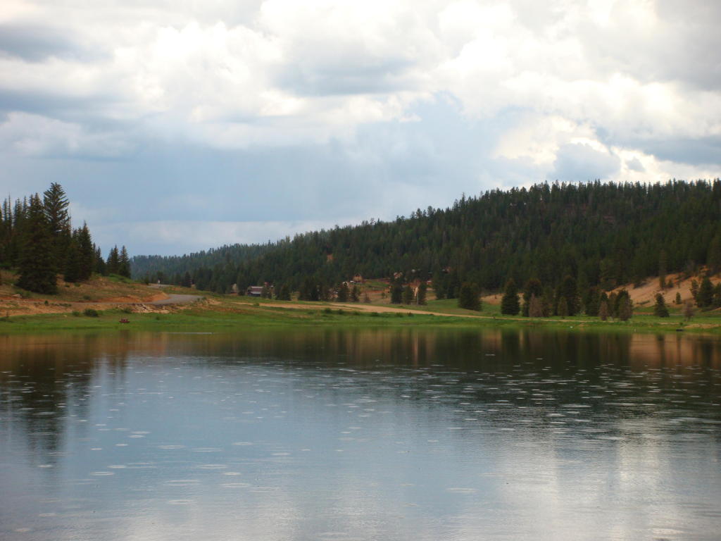 255 N Pine Tree Trail, Duck Creek, UT 84762