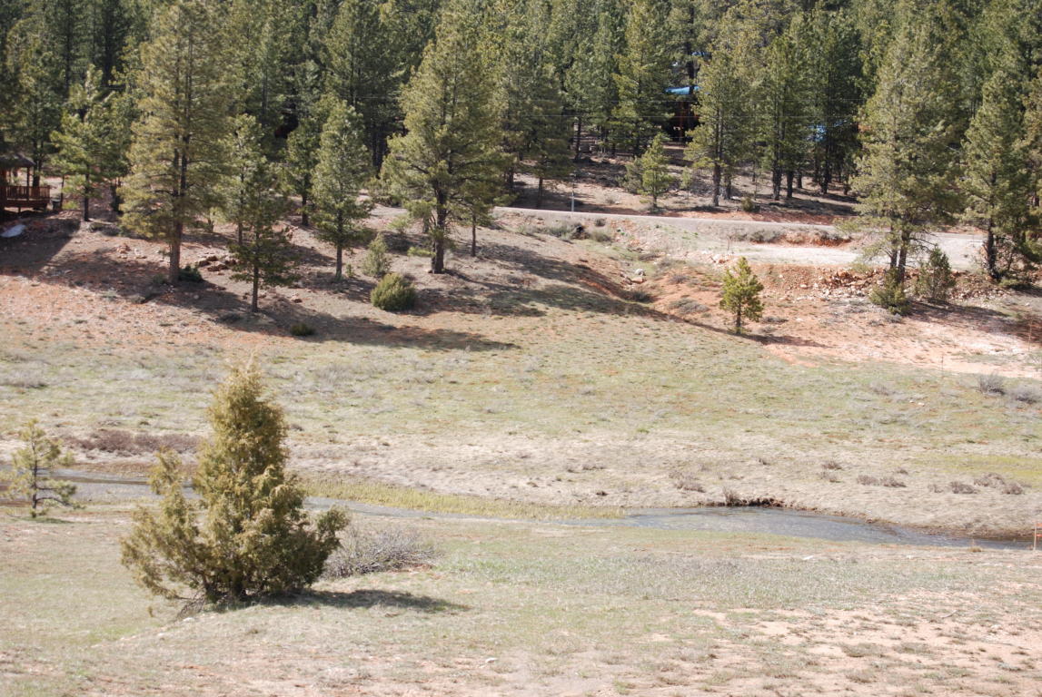 255 N Pine Tree Trail, Duck Creek, UT 84762