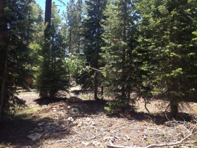 830 E Whisperig Pines, Duck Creek Village, UT 84762