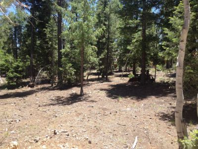 830 E Whisperig Pines, Duck Creek Village, UT 84762