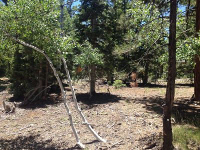 830 E Whisperig Pines, Duck Creek Village, UT 84762
