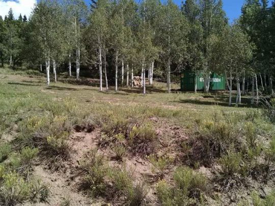 W Bald Eagle, Duck Creek Village, UT 84762