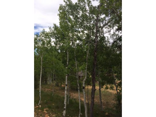 550 N Arrowhead Trail, Duck Creek Village, UT 84762