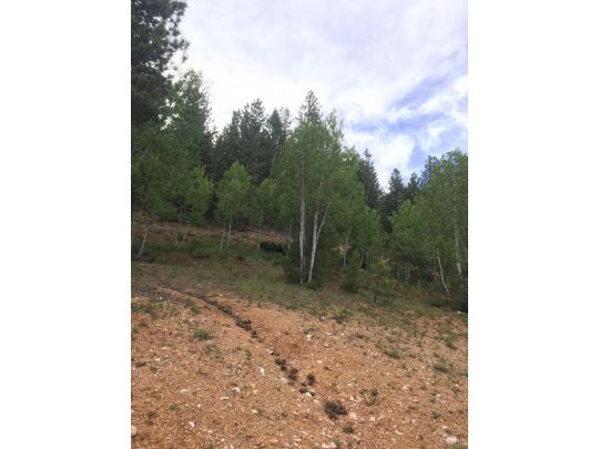 550 N Arrowhead Trail, Duck Creek Village, UT 84762