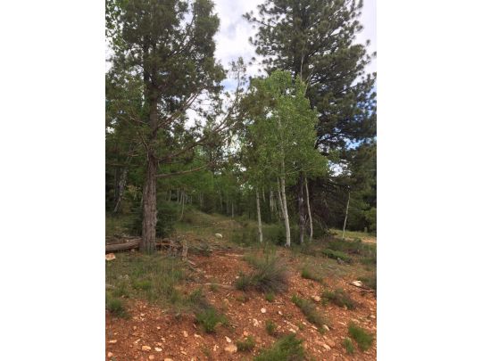 550 N Arrowhead Trail, Duck Creek Village, UT 84762