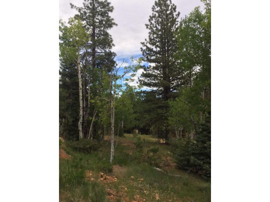 550 N Arrowhead Trail, Duck Creek Village, UT 84762