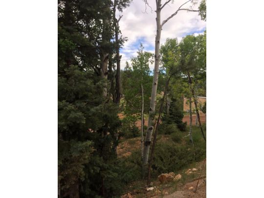 550 N Arrowhead Trail, Duck Creek Village, UT 84762