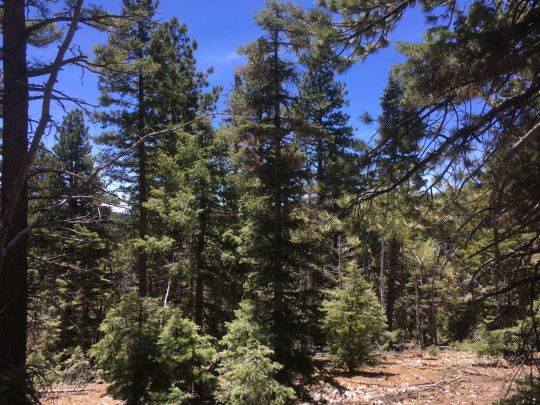 75 S Silver Spruce Dr, Duck Creek Village, UT 84762