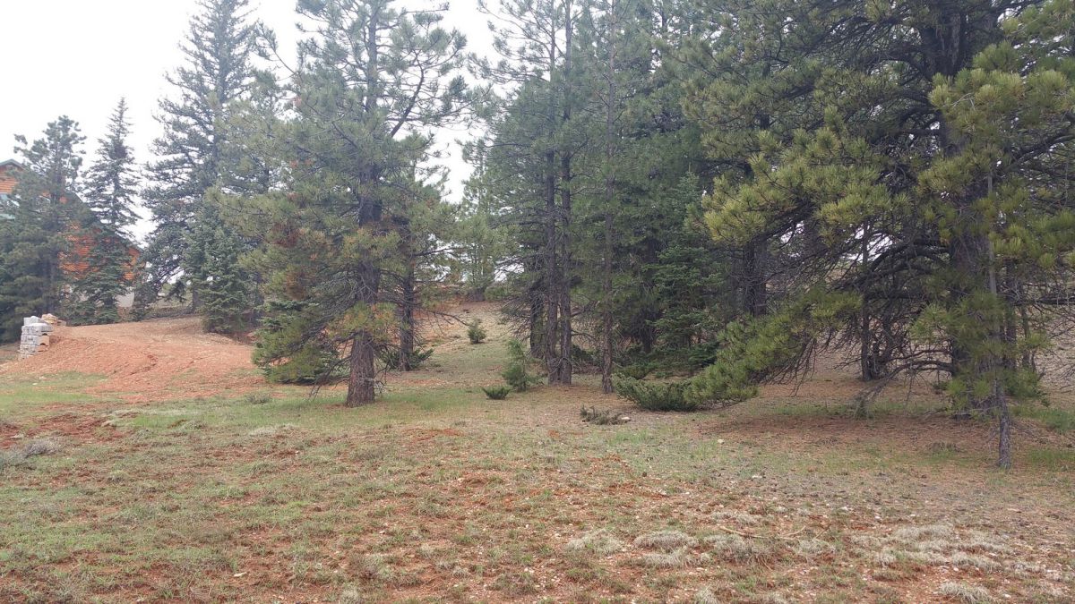 130 N Tonto Trail, SCP 1A-211, Duck Creek Village, UT 84762