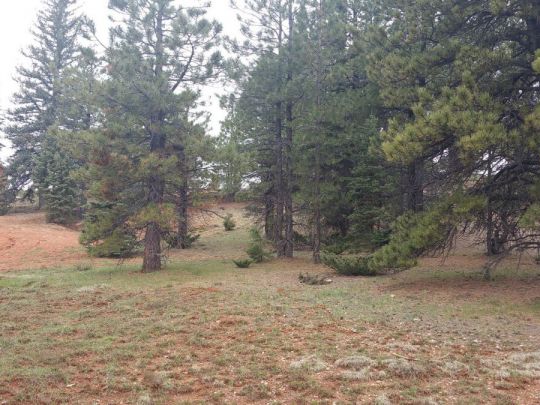 130 N Tonto Trail, SCP1A-211, Duck Creek Village, UT 84762