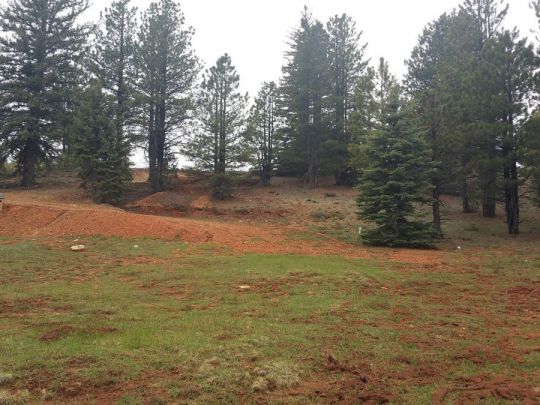 130 N Tonto Trail, SCP1A-211, Duck Creek Village, UT 84762