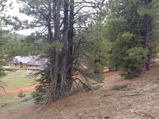 130 N Tonto Trail, SCP1A-211, Duck Creek Village, UT 84762