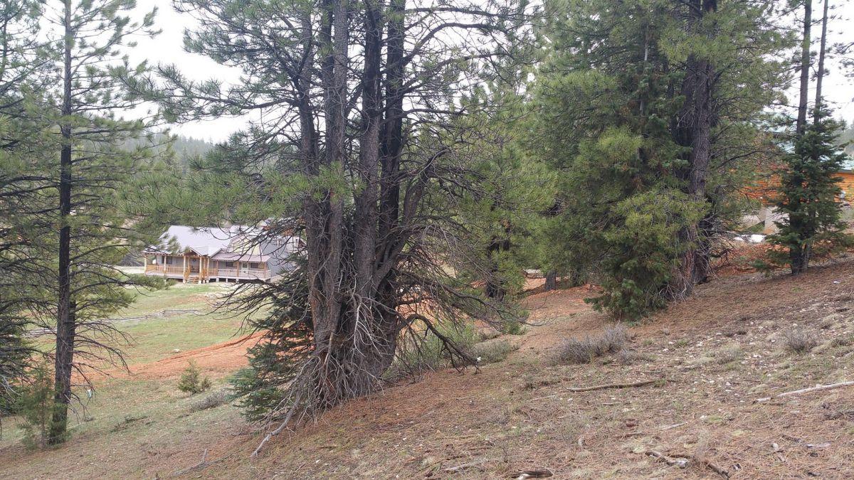 130 N Tonto Trial, SCP 1A-211, Duck Creek, UT 84762