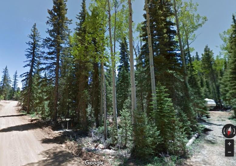 815 W Bear Track, Duck Creek, UT 84762