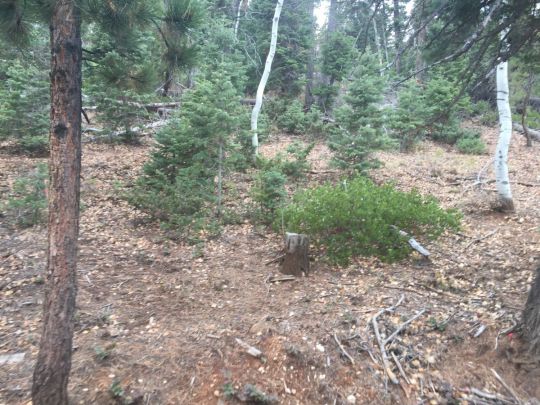 1730,1750 E Strawberry Valley Cir, Duck Creek Village, UT 84762