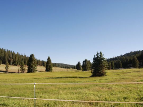 245 N Apollo Trail, Duck Creek Village, UT 84762