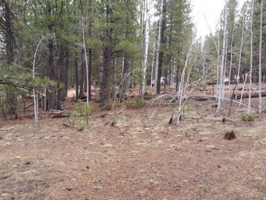 58 W Mammoth View Dr, MC 2-4, Duck Creek Village, UT 84762
