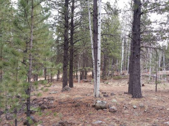 58 W Mammoth View Dr, MC 2-4, Duck Creek Village, UT 84762
