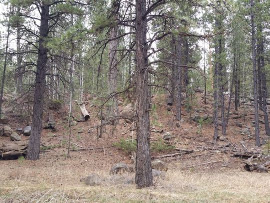 58 W Mammoth View Dr, MC 2-4, Duck Creek Village, UT 84762