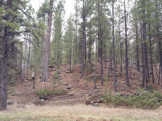 58 W Mammoth View Dr, MC 2-4, Duck Creek Village, UT 84762