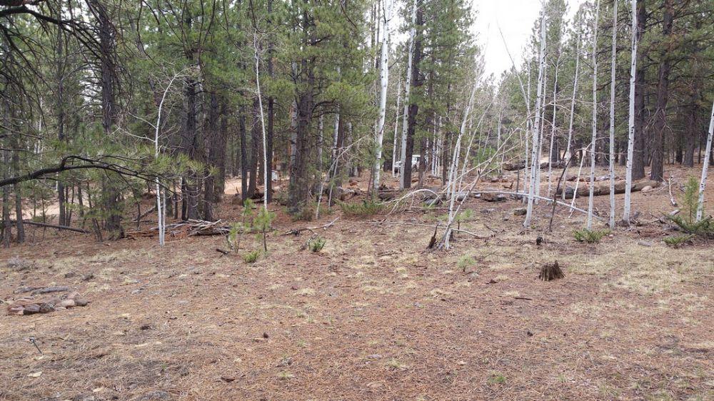 58 W Mammoth View DR, Duck Creek, UT 84762