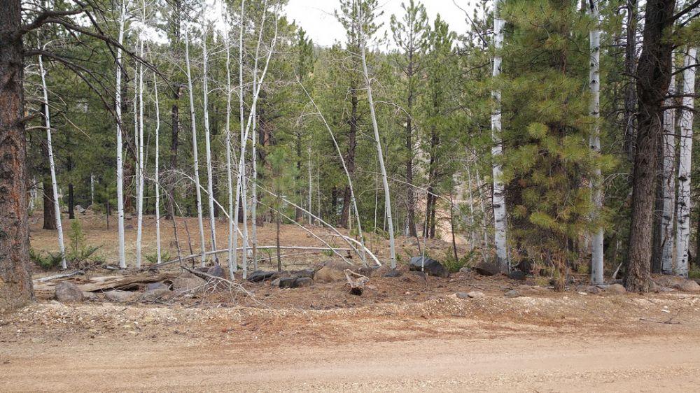 58 W Mammoth View DR, Duck Creek, UT 84762