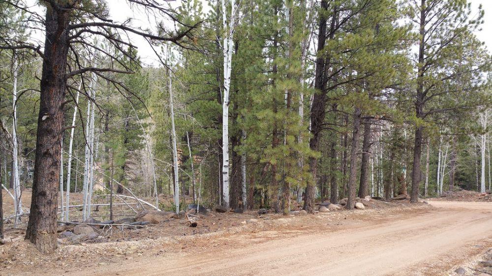 58 W Mammoth View DR, Duck Creek, UT 84762