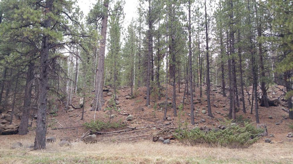 58 W Mammoth View DR, Duck Creek, UT 84762