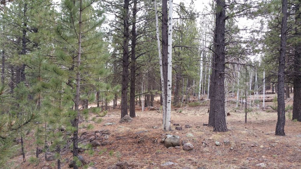 58 W Mammoth View Dr. MC 2-4, Duck Creek Village, UT 84762