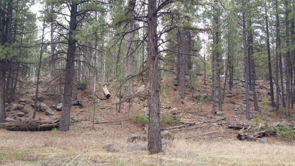 58 W Mammoth View Dr. MC 2-4, Duck Creek Village, UT 84762