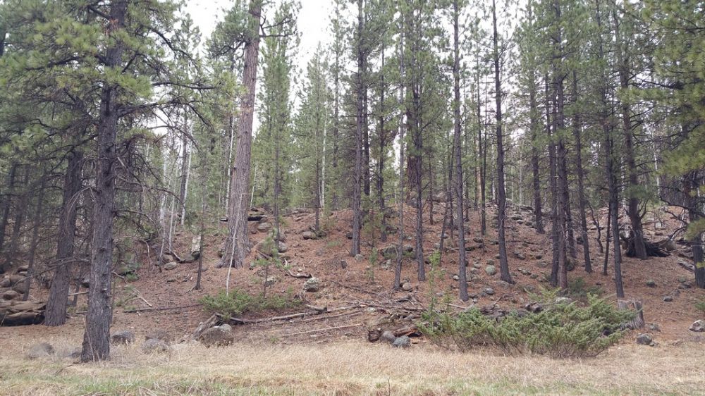 58 W Mammoth View Dr. MC 2-4, Duck Creek Village, UT 84762