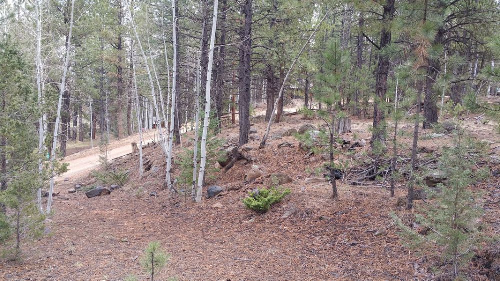 58 W Mammoth View Dr. MC 2-4, Duck Creek Village, UT 84762