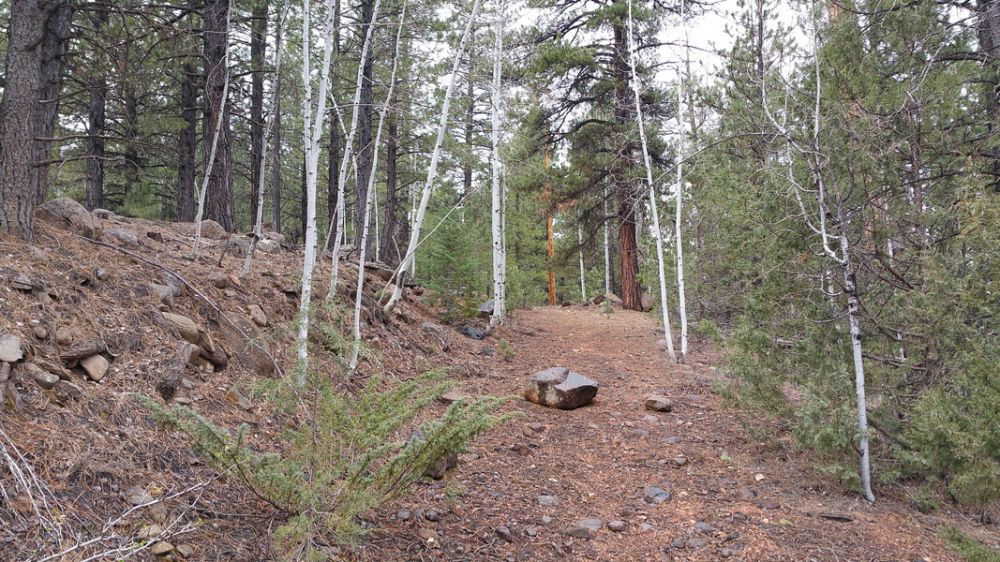 58 W Mammoth View Dr. MC 2-4, Duck Creek Village, UT 84762