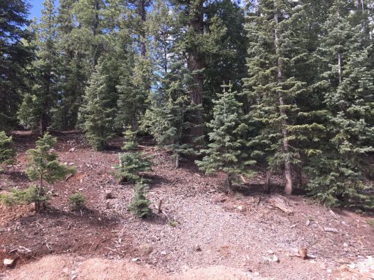 Whispering Pines/Rim Rd, Duck Creek Village, UT 84762