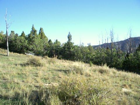 Sec 21 SE4SW4SW4 T38S R6W, Duck Creek, UT 84762