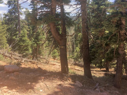 1265 W Cascade Dr, Duck Creek Village, UT 84762