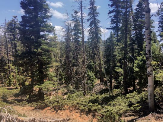 1265 W Cascade Dr, Duck Creek Village, UT 84762