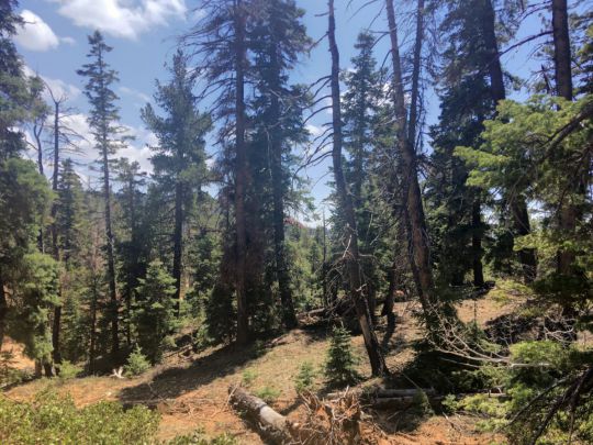 1265 W Cascade Dr, Duck Creek Village, UT 84762