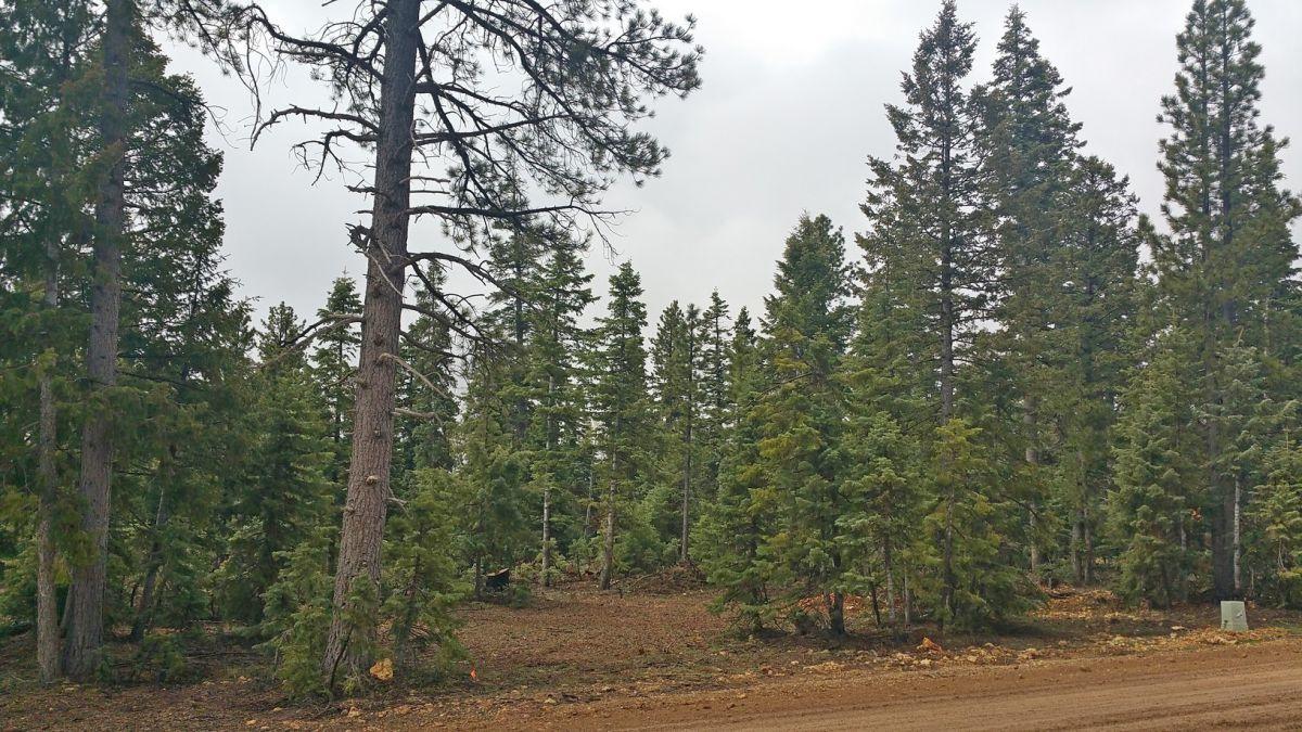 1320 E Duck Creek Ridge RD, Duck Creek, UT 84762