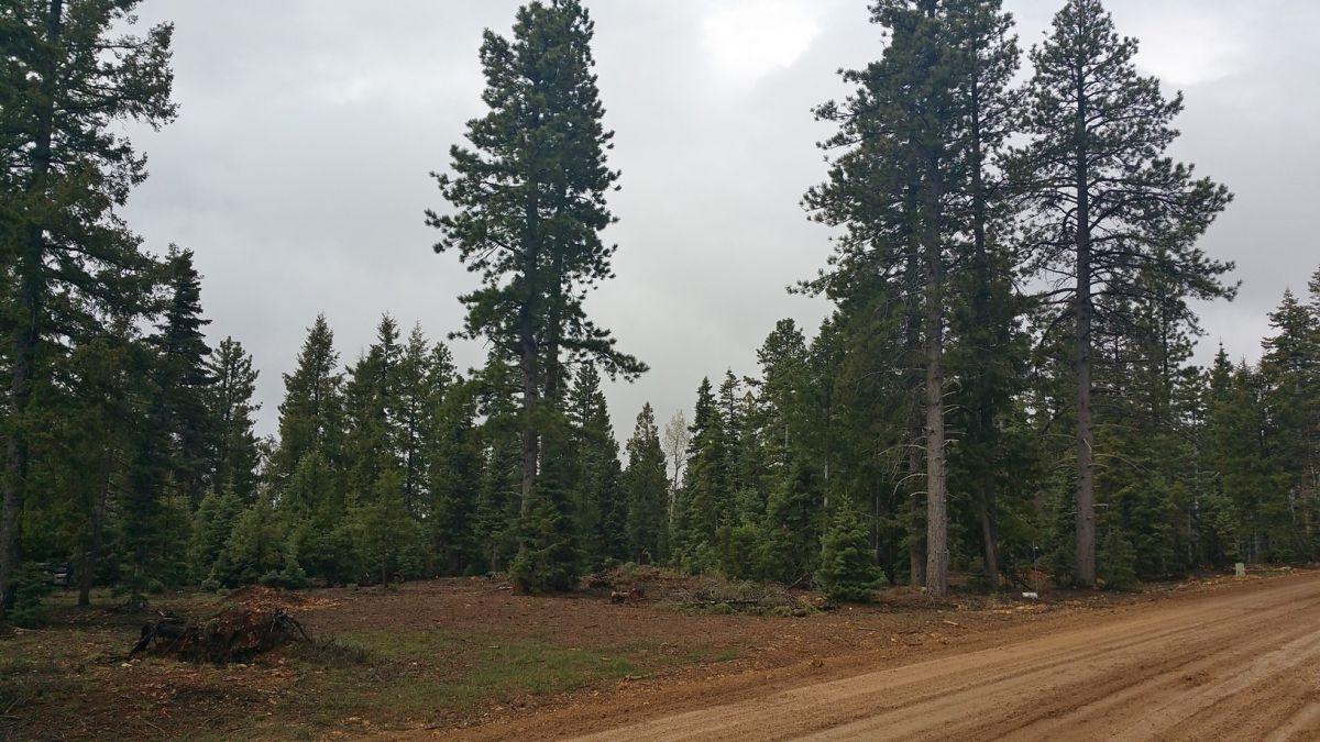 1320 E Duck Creek Ridge RD, Duck Creek, UT 84762